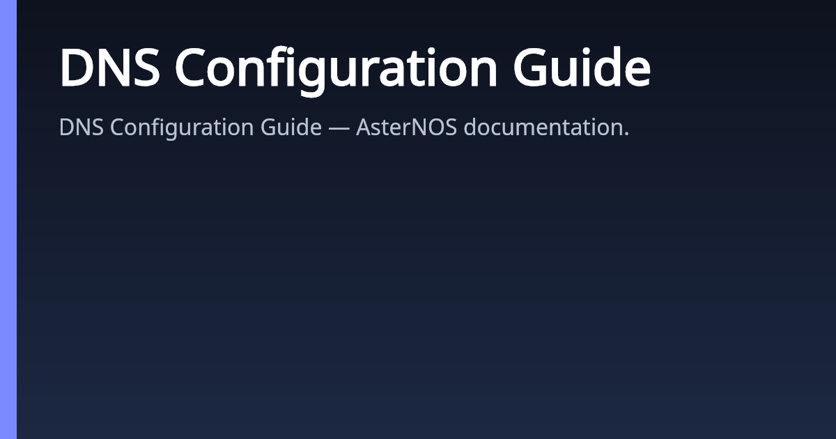 DNS Configuration Guide | AsterNOS